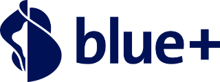 blue Entertainment AG logo