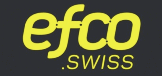 EFCO Befestigungstechnik AG logo